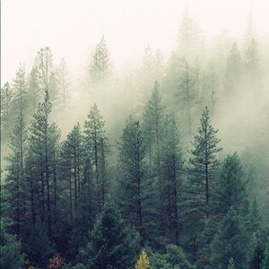 Meet your Posher, Arianna